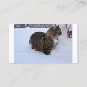 Cartão De Lugar gato floresta norueguesa na neve
