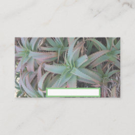 Cartão De Lugar Nevada suculenta