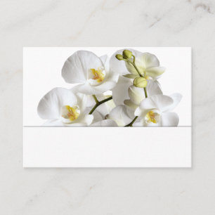Cartão De Lugar Placas de Casamento de Vazio das Orquídeas Brancas