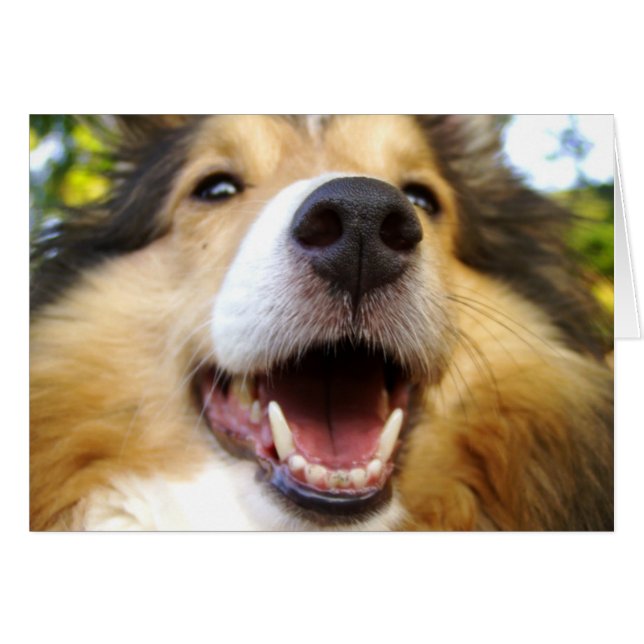 Cartão de Maggie (Frente Horizontal)