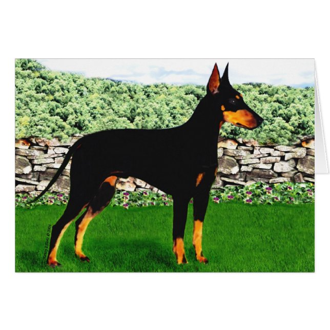 Cartão de Manchester Terrier (Frente Horizontal)