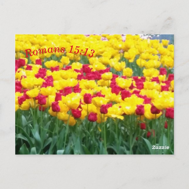 Cartão de Meditação de Escrituras Romanos 15:13 (Verso)