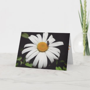 Cartão de Melhoras "Bee Upon Daisy"