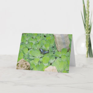 Cartão de Melhoras "Borboleta Azul"