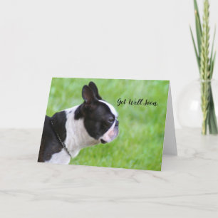 Cartão de melhoras Boston Terrier