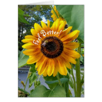Cartão de Melhoras com o Sol Feliz Amarelo