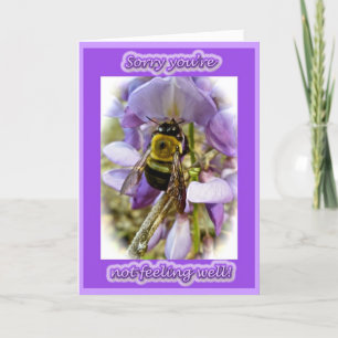 Cartão de Melhoras com Wisteria & Abelha Carpintei