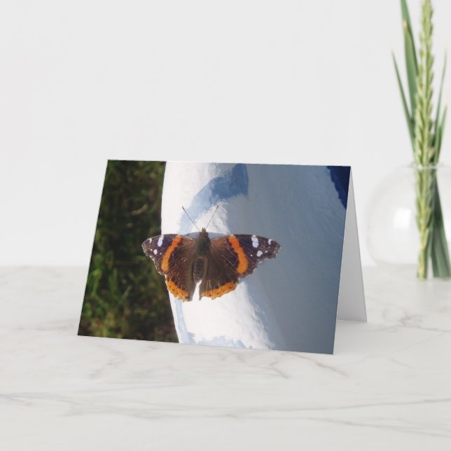 Cartão de Melhoras "Ernie a Borboleta" (Frente)