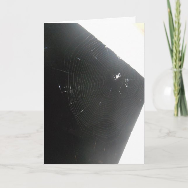 Cartão de Melhoras "Maplewood Spider" (Frente)