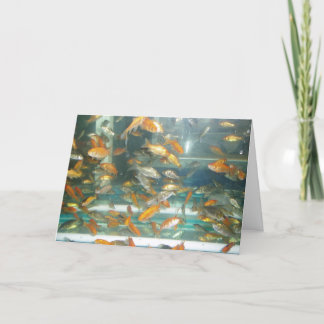 Cartão de Melhoras "Peixinho Dourado"