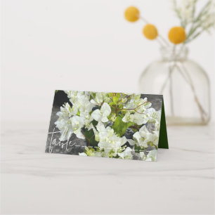 Cartão De Mesa bougainvillea branca ou flor de papel branca como