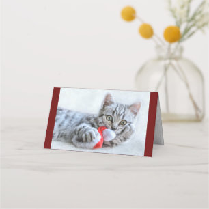 Cartão De Mesa Cinzas bonitas por gato com Natal Natal