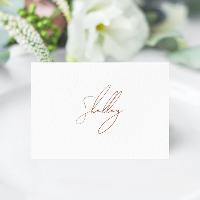 Cartão de Mesa de nome de convidado Brown Terracot (Brown Terracota Individual name Place Card)