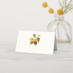 Cartão De Mesa Desenho de Vintage Laranja Apricots Aquarela