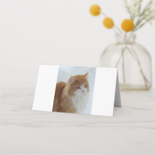 Cartão De Mesa Gato_da_Floresta_Norueguesa