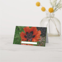 Cartão De Mesa papoila oriental