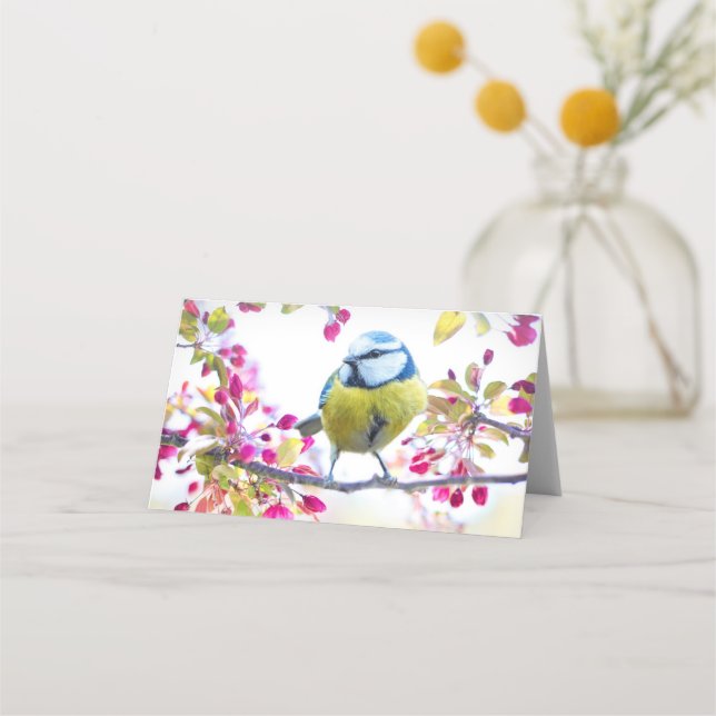 Cartão De Mesa Pássaro Azul e Amarelo bonito em uma Fotografia de (Frente)