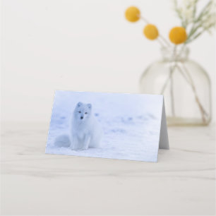 Cartão De Mesa Raposa Árctica Cute em Inverno de Neve