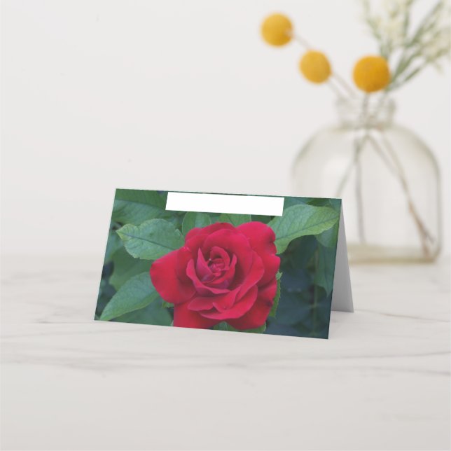Cartão De Mesa Rosa Vermelha de Perto (Frente)