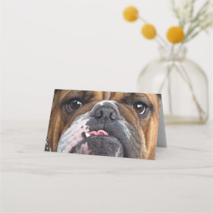 Cartão De Mesa Travesseiro decorativo Inglês Bulldog
