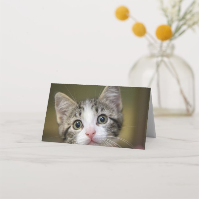 Cartão De Mesa Um gatinho fofo com olhos verdes (Frente)