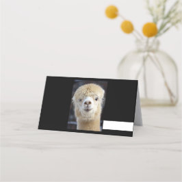 Cartão De Mesa Um rosto fofo e fofinho de uma alpaca  