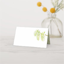 Verde aspen catkins nome aquarela