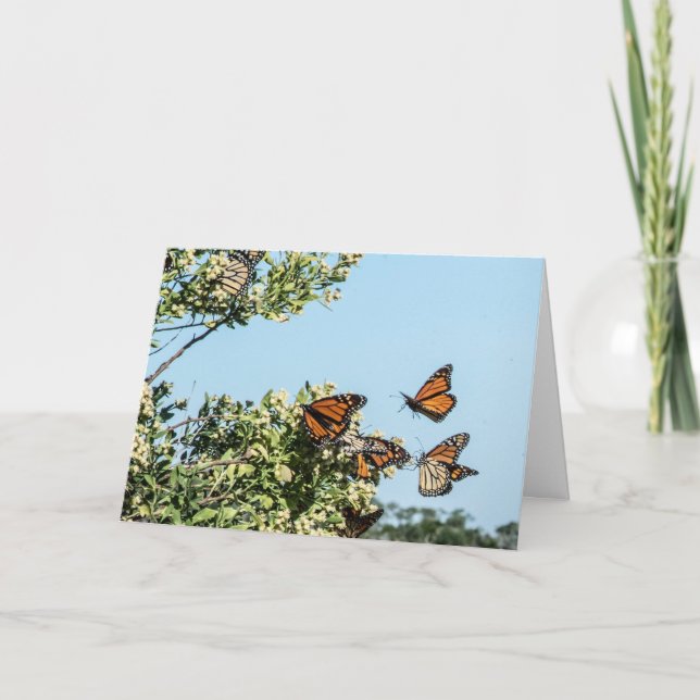 Cartão de moeda (Frente)