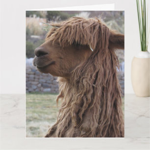 CARTÃO DE MORTE DE ANIVERSÁRIO ALPACA ENGRAÇADO