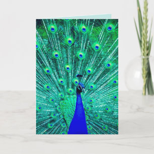 CARTÃO DE MORTE DE ANIVERSÁRIO PEACOCK ENGRAÇADO