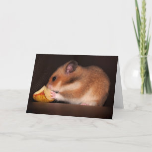 Cartão de Mowsie