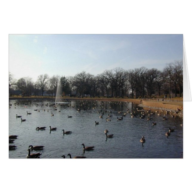 Cartão de Muro Goose (Frente Horizontal)