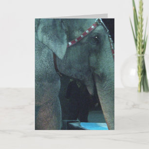 cartão de NASCIMENTO ELEPHANT