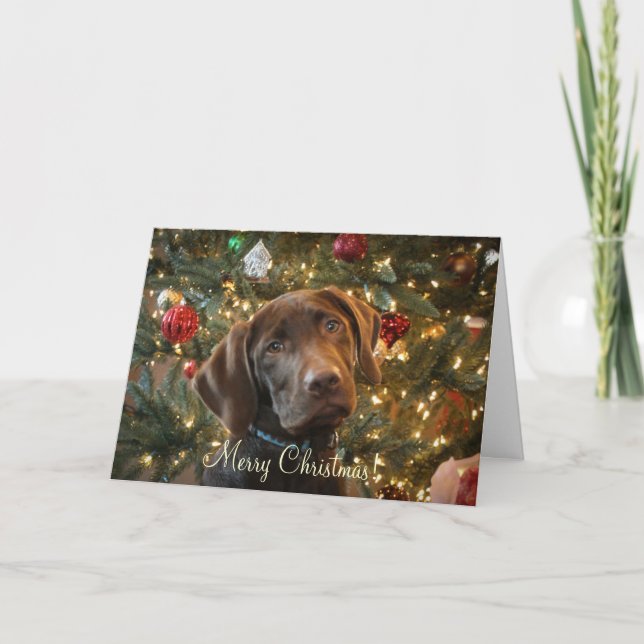 Cartão de Natal (Frente)