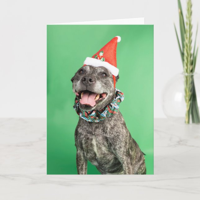 Cartão de Natal (Frente)