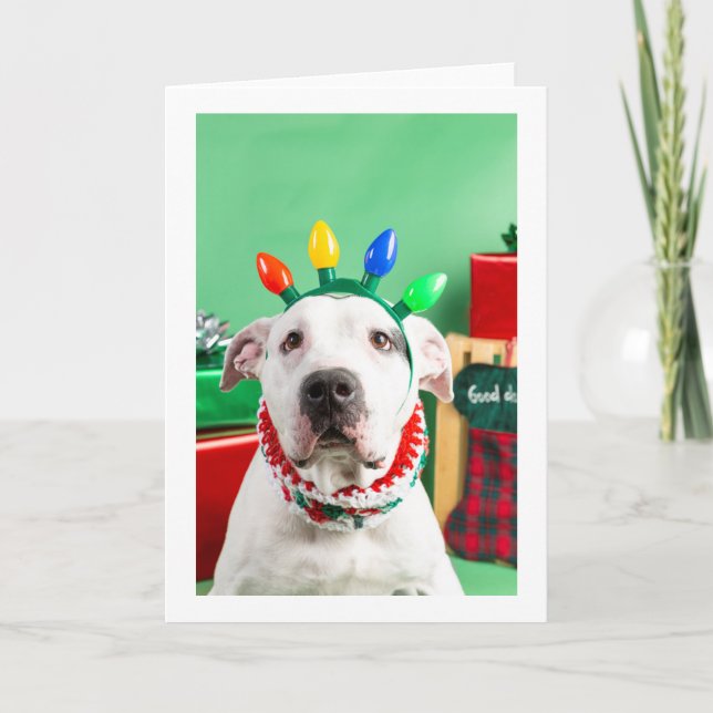 Cartão de Natal (Frente)