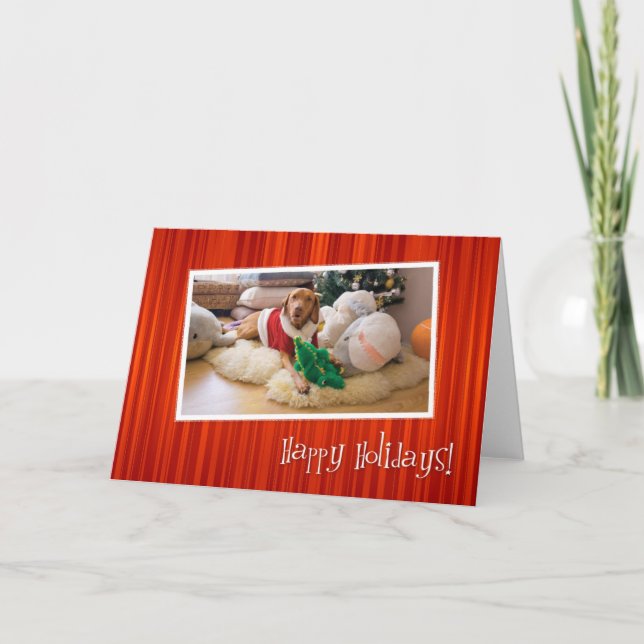 Cartão de Natal 010 de Vizsla do Hungarian (Frente)