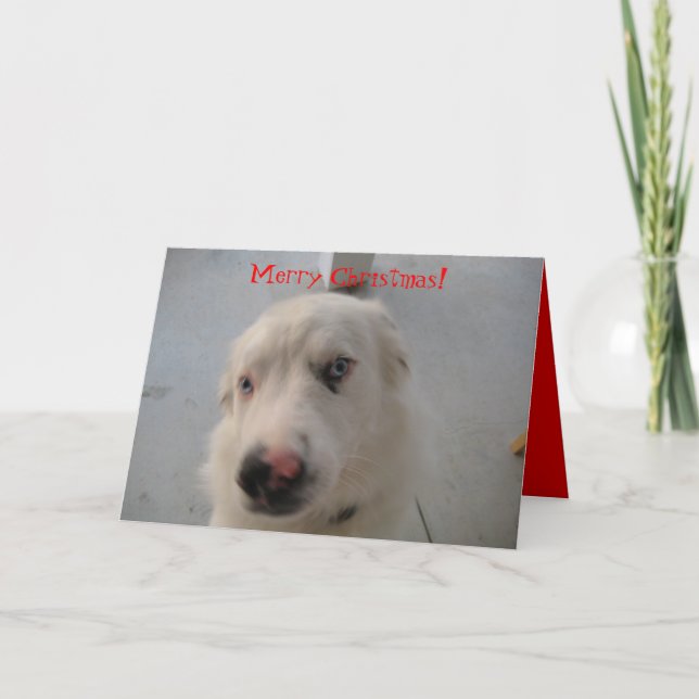 Cartão de Natal 07 (Frente)