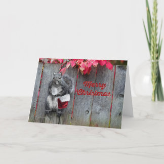 Cartão de Natal 5x7 com o Sr. Squirrel