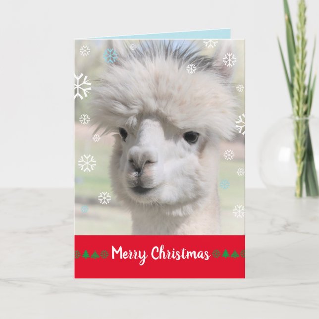 Cartão de Natal Alegre da Alpaca de Neve (Frente)