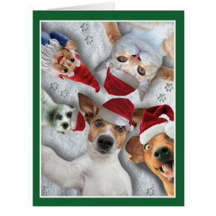 Cartão de Natal animal de Selfie do feriado enorm