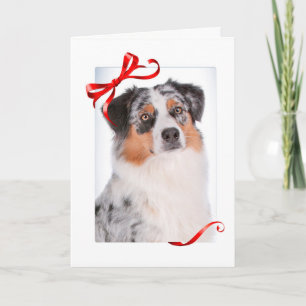 Cartão de Natal Aussie