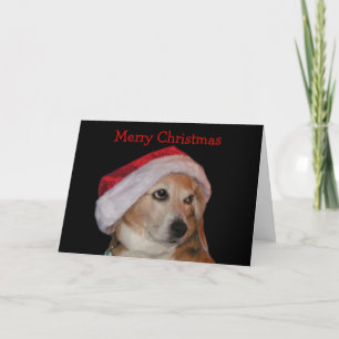 Cartão de Natal Beagle (Papais noeis)