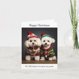 Cartão de Natal Bichon Frise Cães