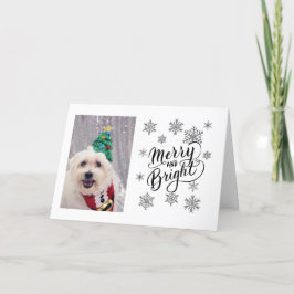 Cartão de Natal Bichon Maltês Cachorro