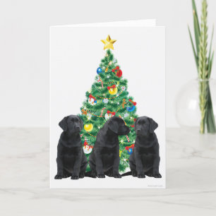Cartão de Natal Black Labrador