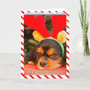 Cartão de Natal Bord do Rei Charles Spaniel Reinde