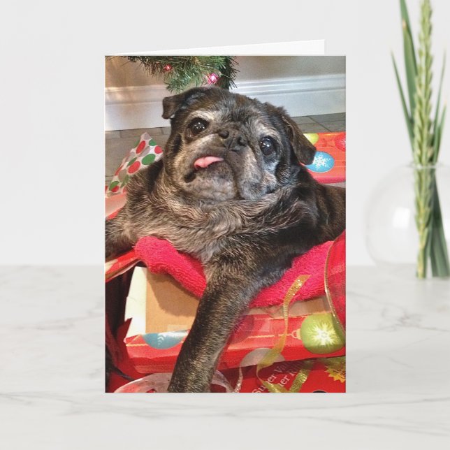 Cartão de Natal Bumblesnot (Frente)