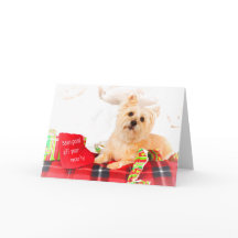 Cartão de Natal Cairn Terrier