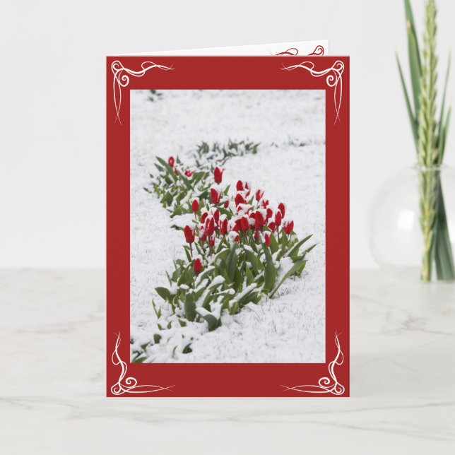 Cartão de Natal - Cartão de Cartões de natal (Frente)